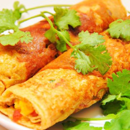 

A tasty and healthy tomato salsa egg roll made with eggs, stir-fry vegetables and no gluten, nuts, soy or lactose - perfect for lunch or dinner!