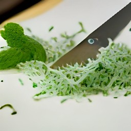 shredded spearmint.