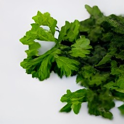 parsley that has been cut into small pieces.