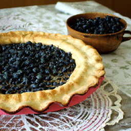 

A delicious, eggs-free no roll pie crust made with European-style all purpose flour, granulated sugar, vegetable oil and fresh blueberries - perfect for any baking dish.