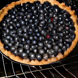 the pie baked for a total of 25 minutes.