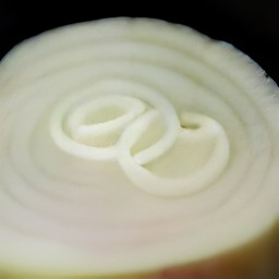 rings of onion that have had the top layer peeled off.