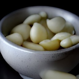 a paste made from the crushed garlic.