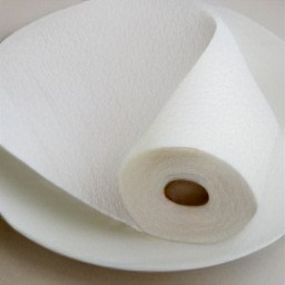 a plate lined with paper towels.
