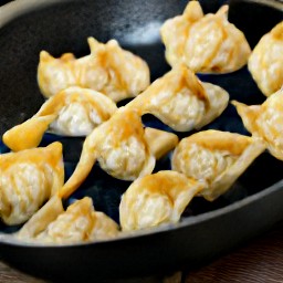 fried wontons.