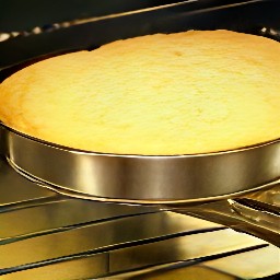 the cake baked in the oven for 25 minutes.