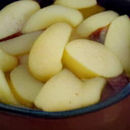 a mixture of granulated sugar, cornstarch, ground cinnamon, ground nutmeg, salt, and 8 cups of water with the apple mixture cooked for 2 minutes.