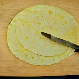 the corn tortillas are cut into triangles.