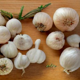 garlic, white pearl onions, rosemary, and thyme that are trimmed and chopped.