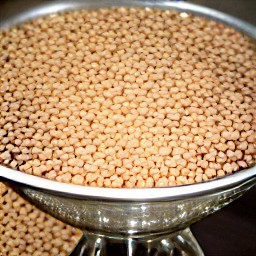 the lentils are drained in a colander.