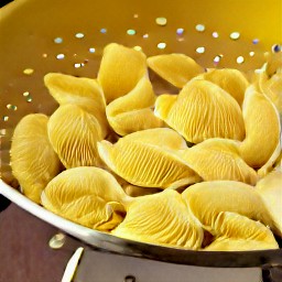 the pasta shells are rinsed with cold water in the same colander.