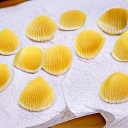 the pasta shells drained of water on a paper towel.