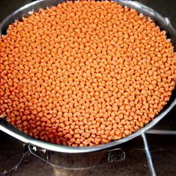 a colander full of rinsed and drained red lentils.