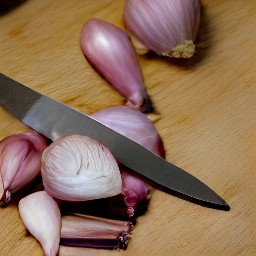 a peeled and chopped shallot.