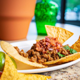 

This delicious vegan, gluten-free, egg and lactose-free walnut taco meat is a perfect side dish or appetizer with the added crunch of tortilla chips and subtle spices & herbs.