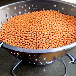 the red lentils are rinsed and drained in a colander.
