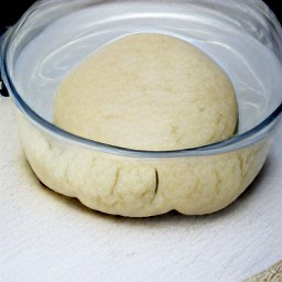 a greased bowl of dough that has been set aside for 20 minutes.