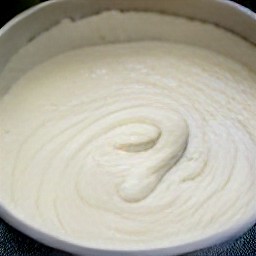 a wet mixture of all-purpose flour, granulated sugar, and yeast.