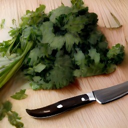 chopped parsley, basil, and cilantro.