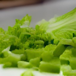 chopped scallions, cucumber, and lettuce.