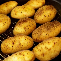 the cookie sheet placed in the oven and baked for 60 minutes.