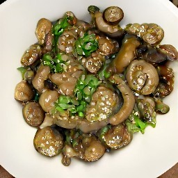 the contents of the skillet pan are transferred to a plate and topped with chopped scallions.
