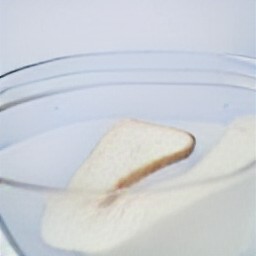 a wet white bread slice.