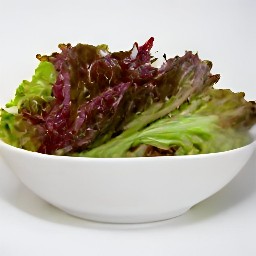the red leaf lettuce is in a salad bowl.
