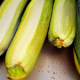 the zucchini is rinsed.