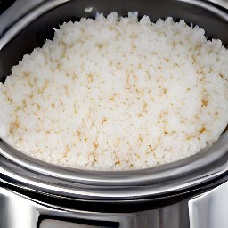 a pot of white rice.