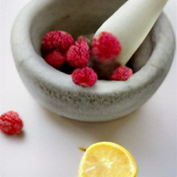 the output is a mixture of minced raspberries and juiced lemons.