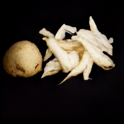 a peeled jicama.