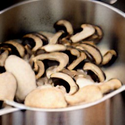 a mushroom mixture.