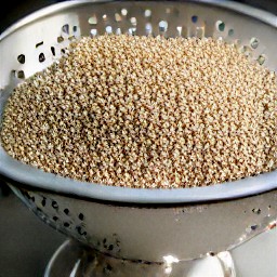 the quinoa drained of any water that was rinsed off of it.