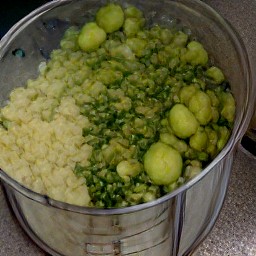 the output of the action is a chopped mixture of onions, garlic, parsley, lime juice, tomatillo wedges, destalked red chili peppers, destalked chipotle peppers, salt and black pepper.