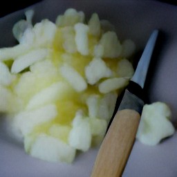 a peeled and chopped onion.