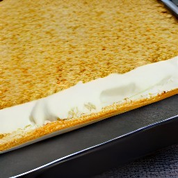 a cracker crust with cream mixture on top.