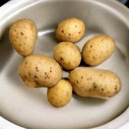 the potatoes rinsed.