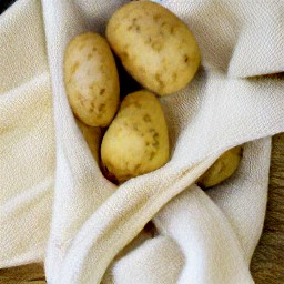 the rinsed potatoes are dried with a tea towel.