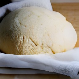 the dough will rise in the bowl for 60 minutes.