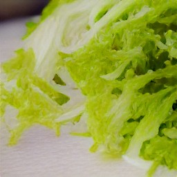 finely shredded lettuce.