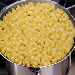a pot of boiled macaroni pasta.
