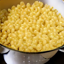 the cooked macaroni pasta is drained in a colander.