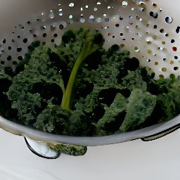 the kale is drained.