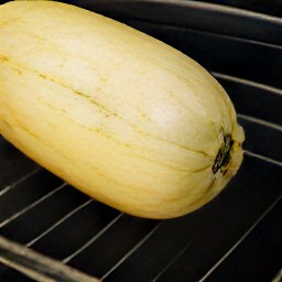 the roasted spaghetti squash is done when the heat is turned off and the dish is taken out of the oven.