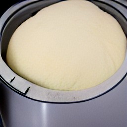 the bread machine will mix the water, shortening, granulated sugar, wheat gluten, all-purpose flour, yeast and salt together and then knead the dough for 30 minutes.
