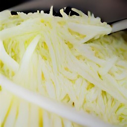 the cabbage cut in half, then shredded.