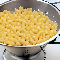 cooked macaroni pasta.