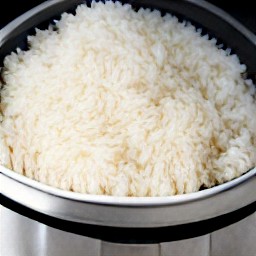 cooked white rice.