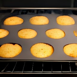 the muffin tin placed in a hot oven and baked for 20 minutes.